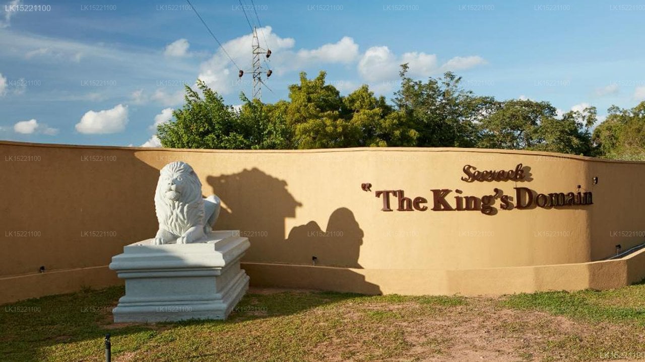 Seerock The Kings Domain