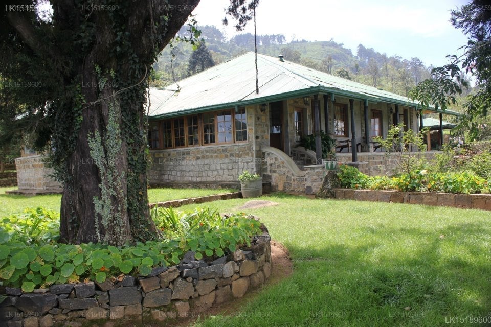 Garfield Bungalow
