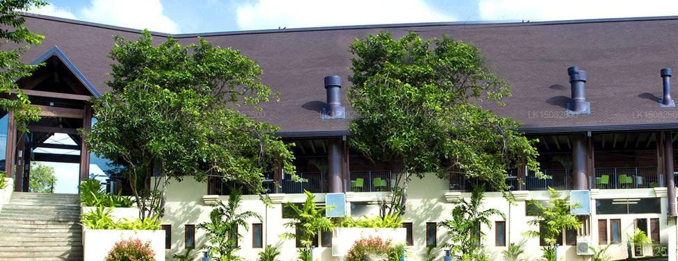 The Paradise Resort & Spa