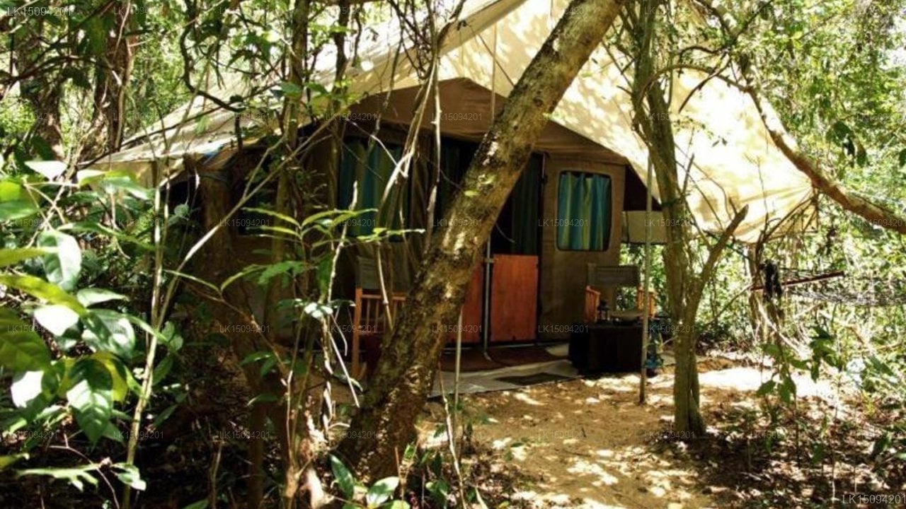 Explorer by Eco Team Dambanaa
