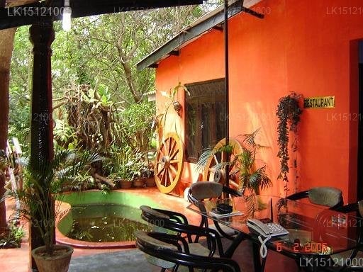 Kandalama Lake Resort