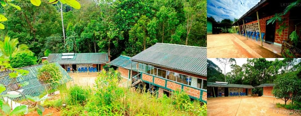 Martin's Lodge