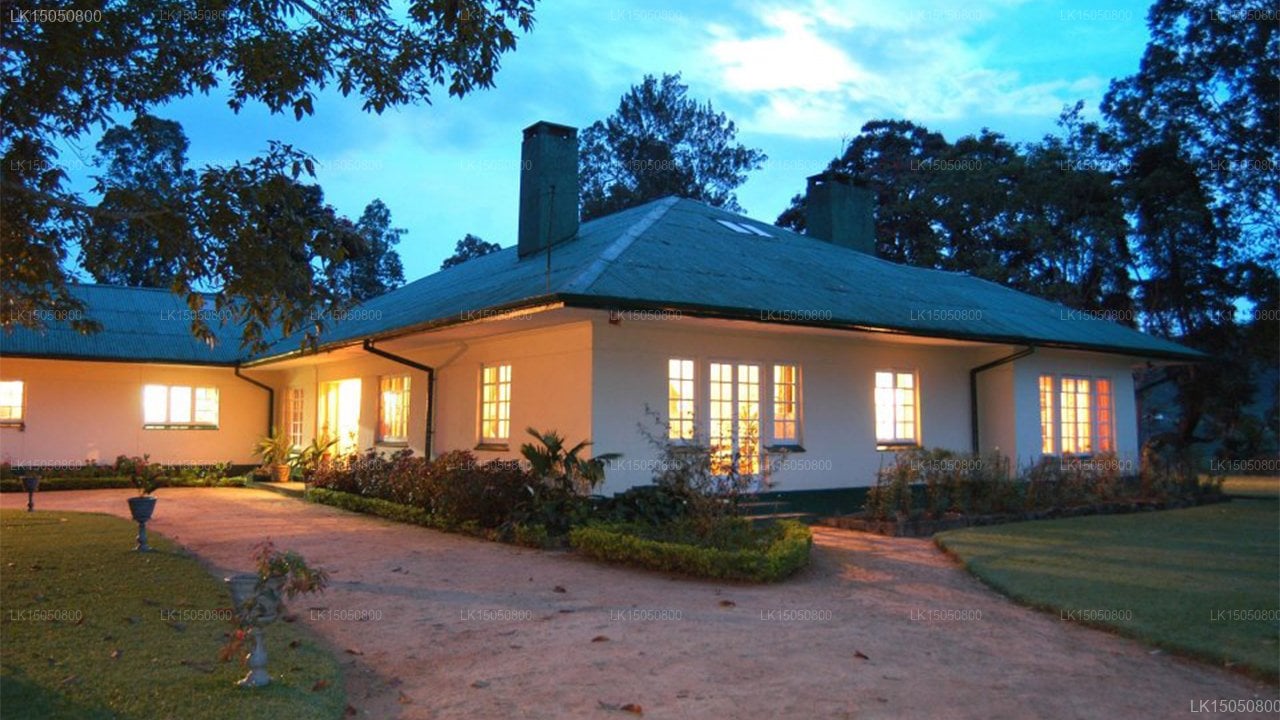 Rosita Tea Plantation Bungalow