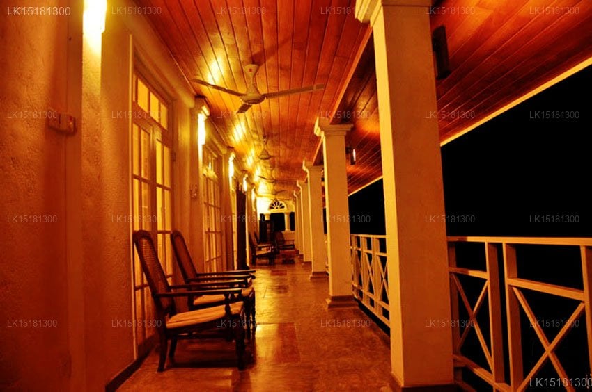 Lesní okraj, Kitulgala