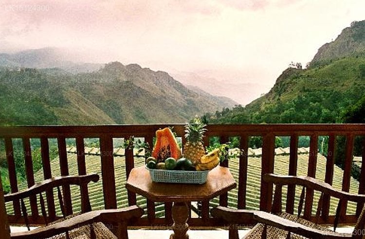 Sky Green Resort