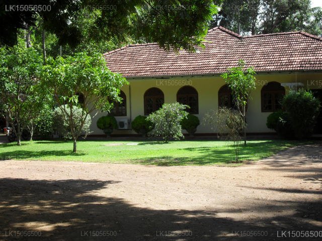 Little Villa
