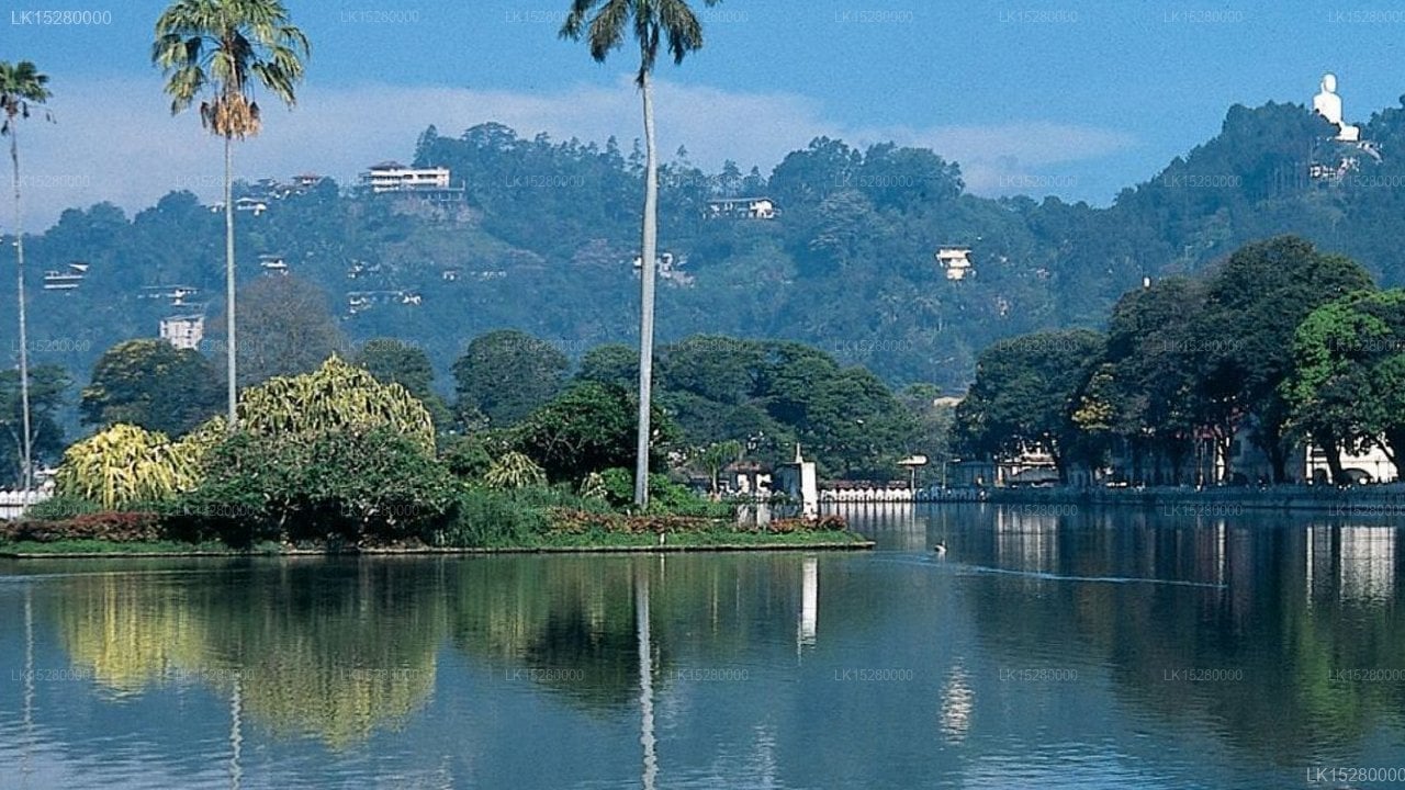Hotel Bunk Planet, Kandy