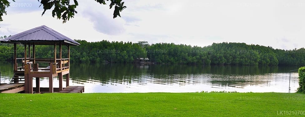 Okvin River Villa