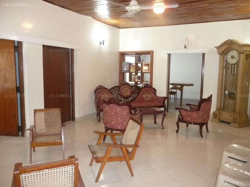 The Oliver Tree Bungalow