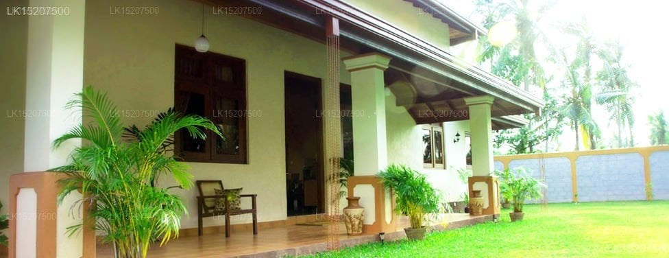 The Airport Villa