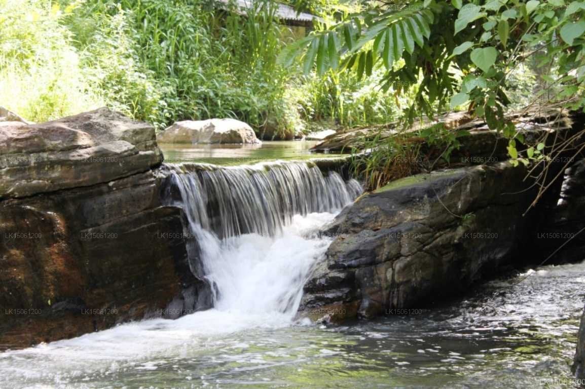 The Kandy Samadhi Center