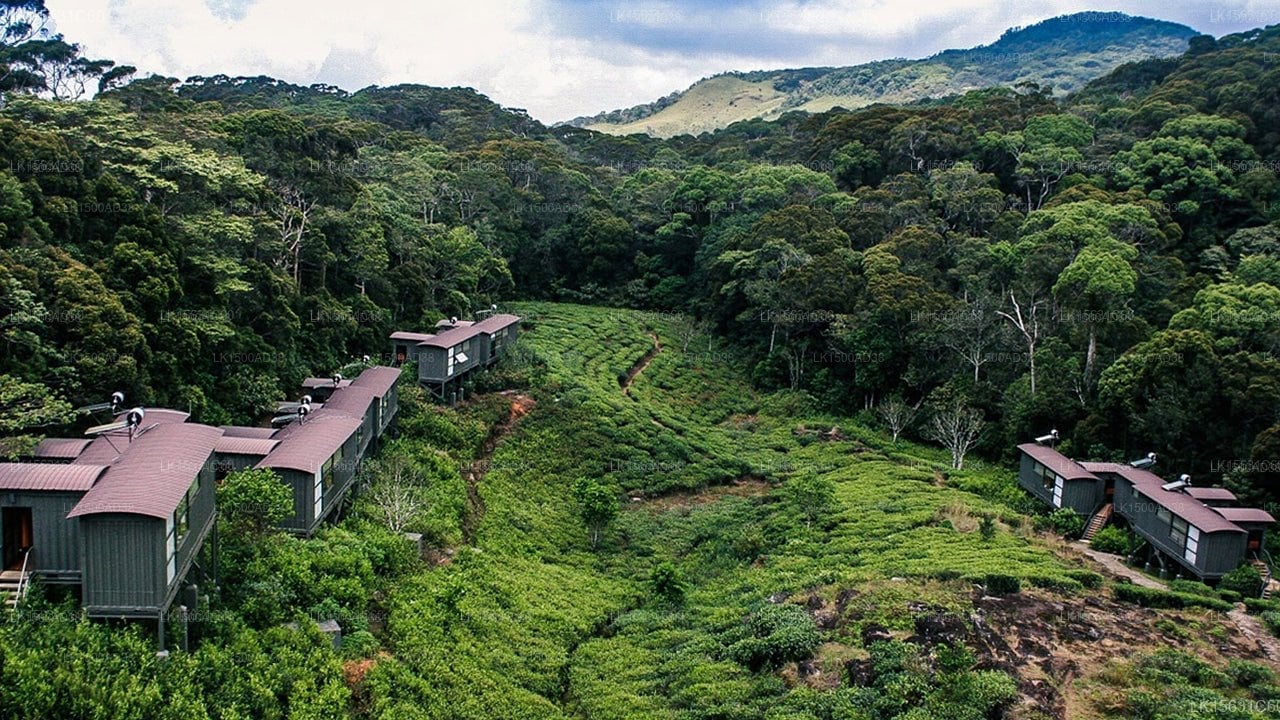 The Rainforest Ecolodge
