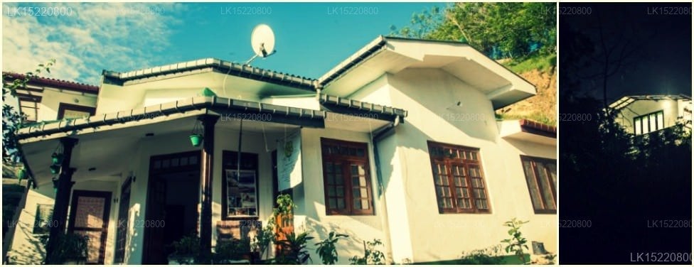 Eco Point Ella