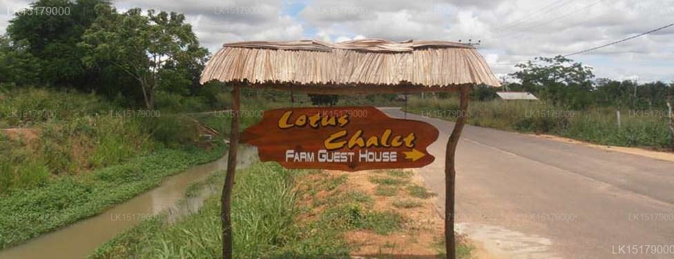 Lotus Chalets