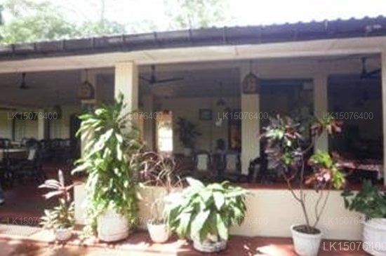 Sigiriya Resort