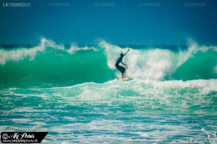 Shaka Sign Surf