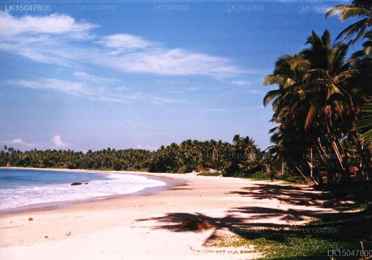 Mirissa Village