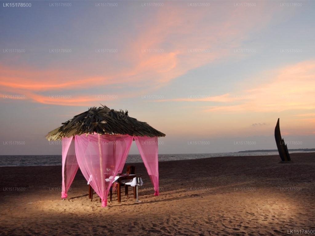 Laya Safari Resorts & Spa