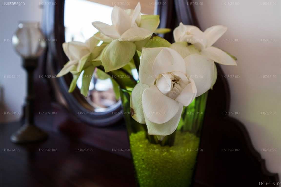 Albatross Boutique Villa, Kandy