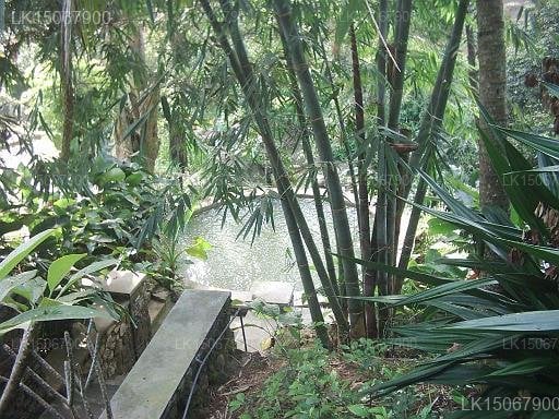 Landa Holiday House