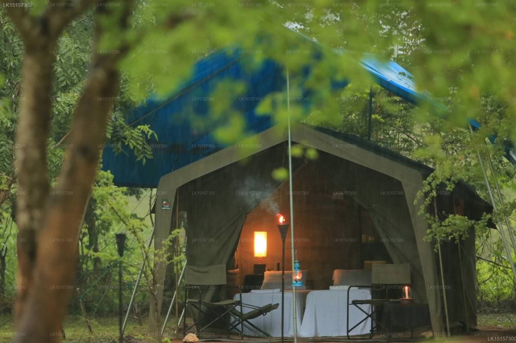 Big Game Camps & Lodges