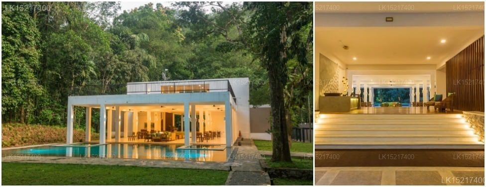 Palm Stone Retreat
