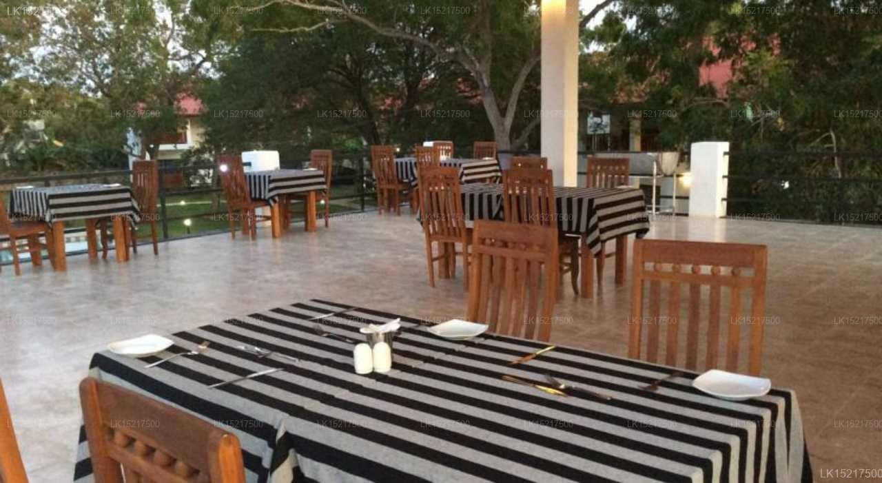 Blue Turtle Hotel