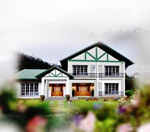 Blossoms Hotel