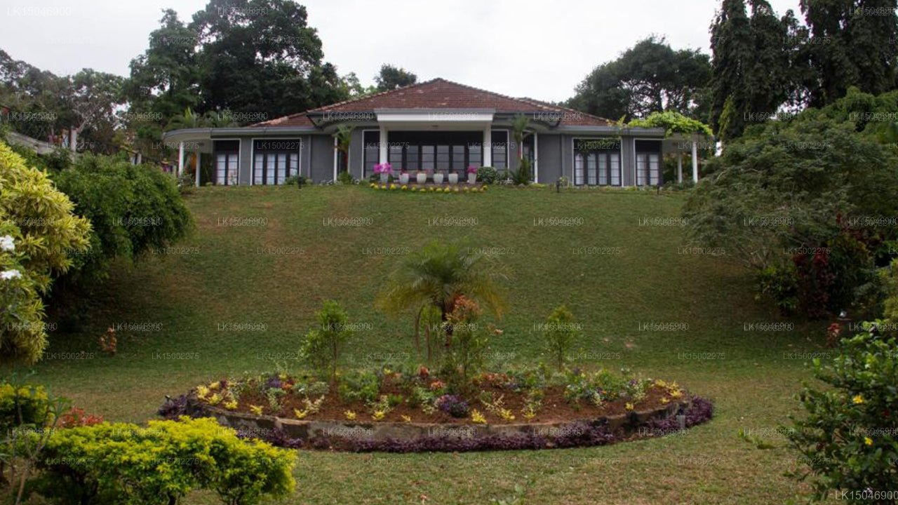 Castle Hill Guest House