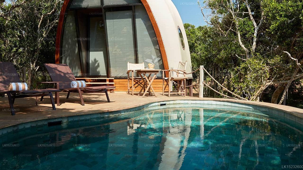 Wild Coast Tented Lodge