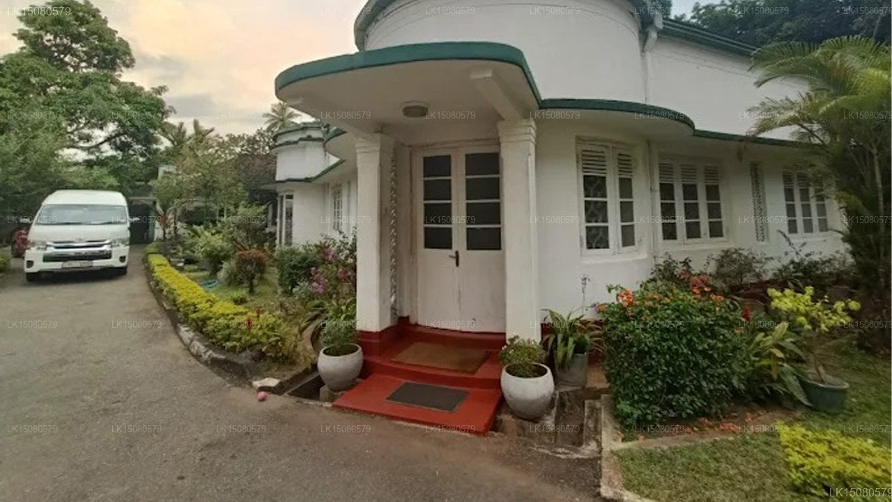 Fortuna Heritage Home