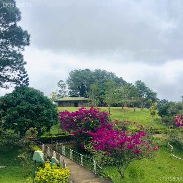 National Holiday Resort - Bandarawela