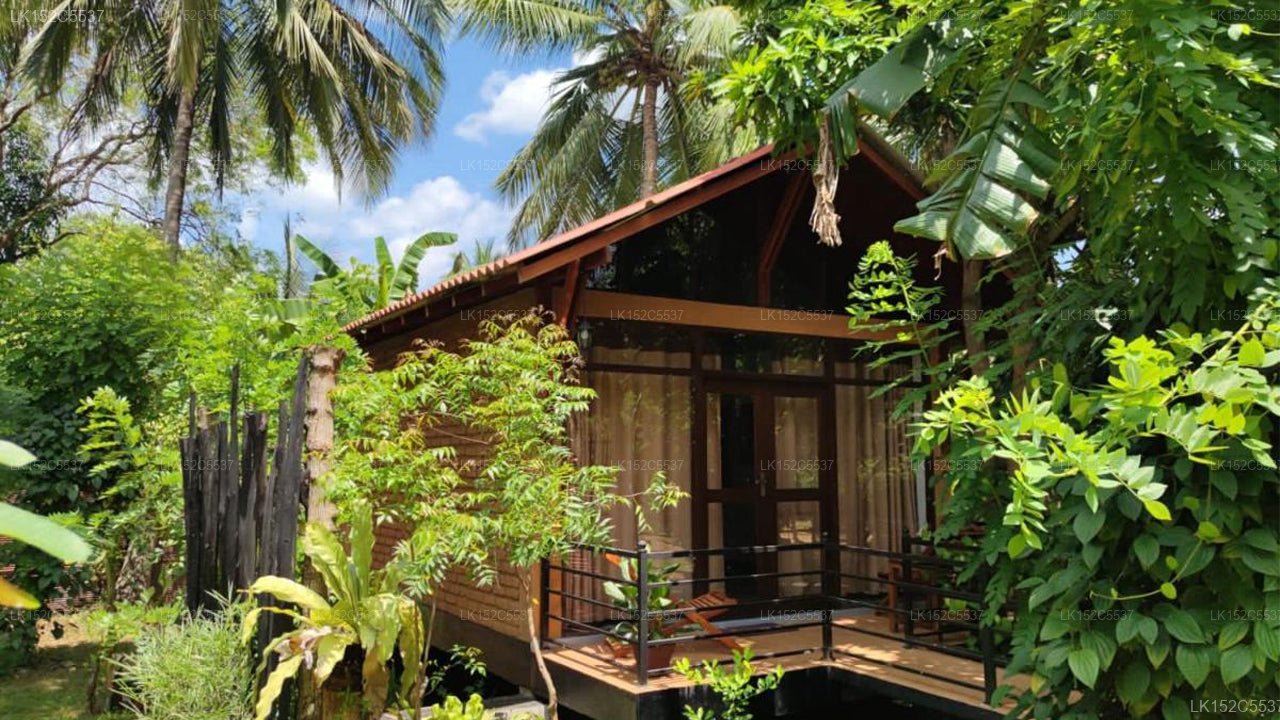 Mango Tree House