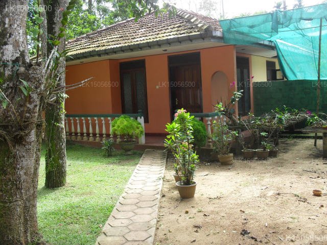 Little Villa