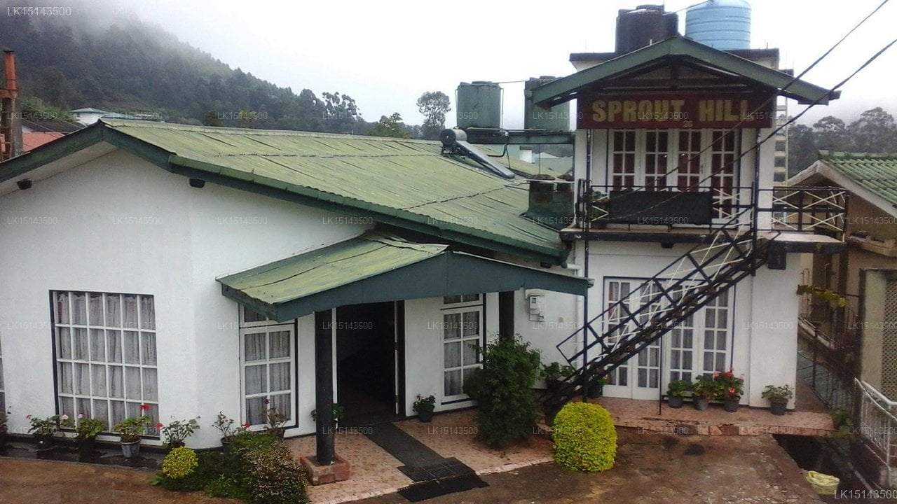 Sprout Hill