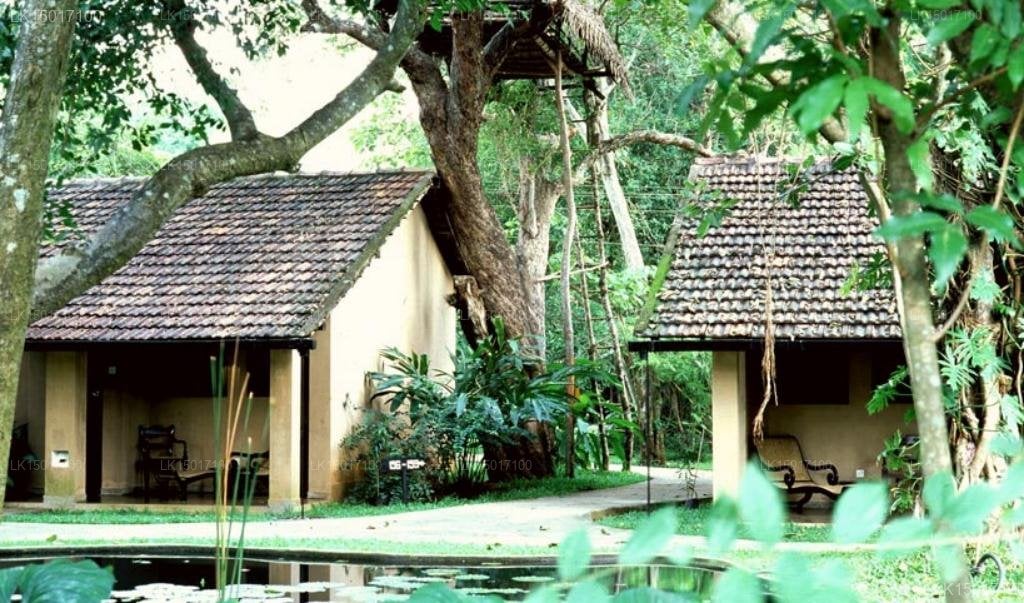 Sigiriya Village