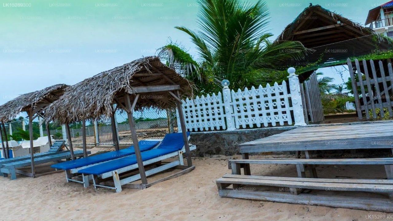 Elegant Green Beach Resort