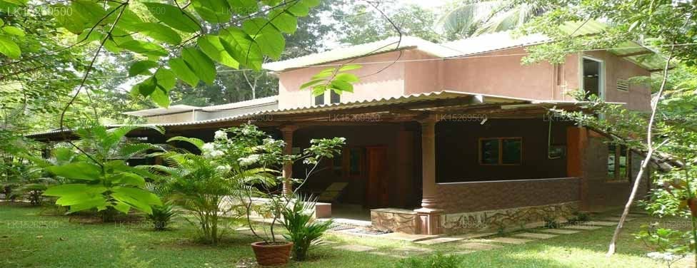 Silent Bungalow