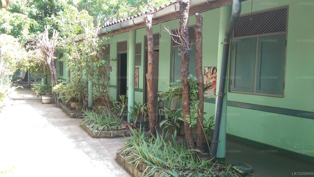 Creighton Villa