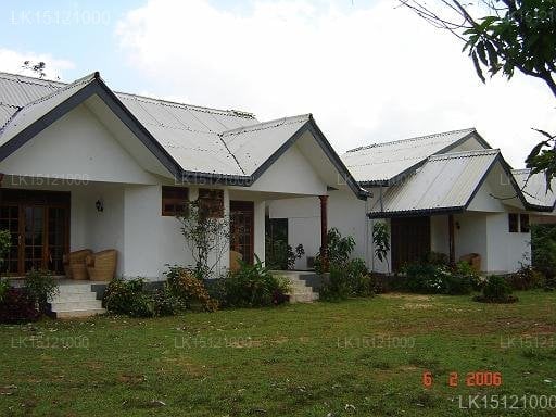 Kandalama Lake Resort