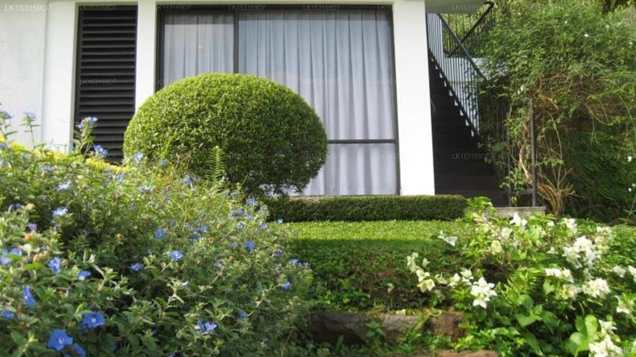 Zenith Home Stay