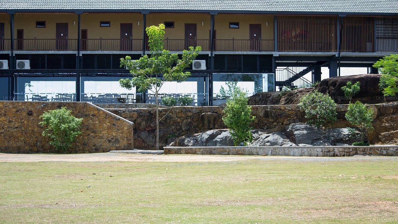 The Nature Lover's Inn