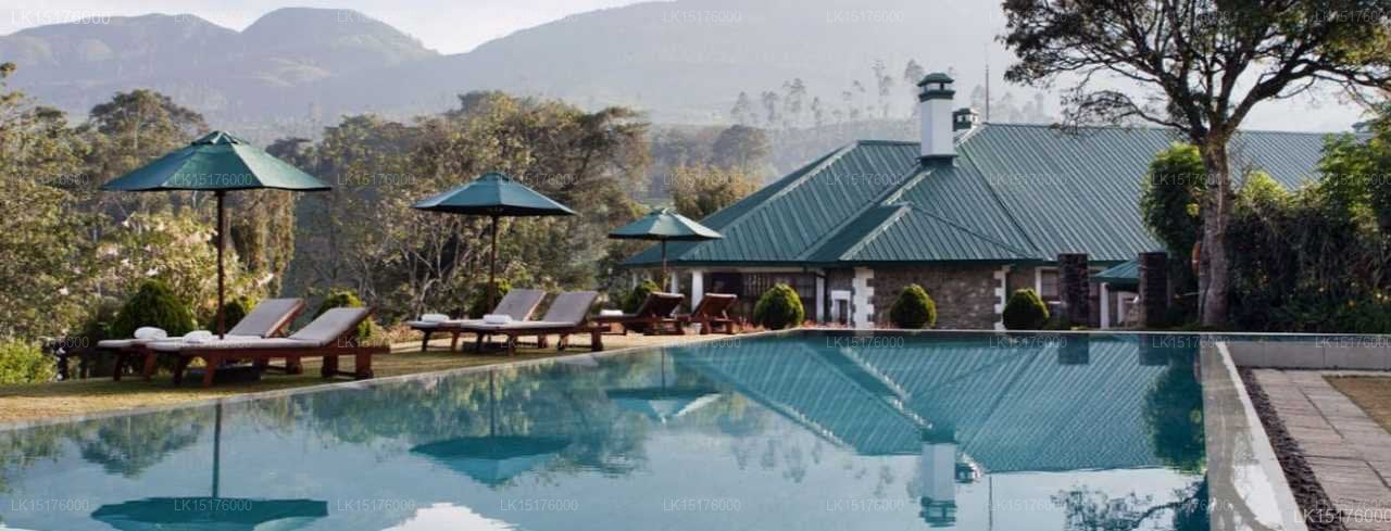 Ceylon Tea Trails