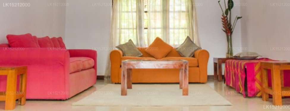 Ceylon Tea Bungalows