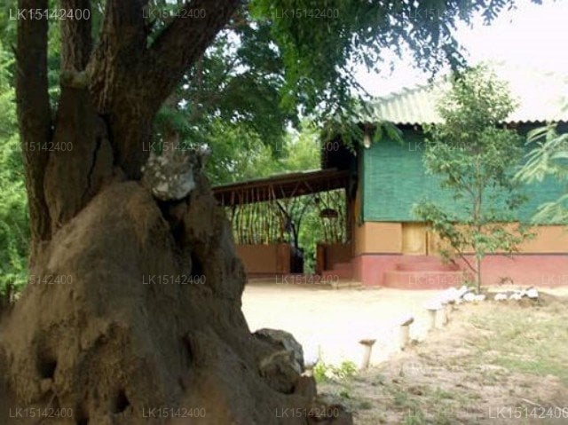 Kekunawela Jungle Lodge