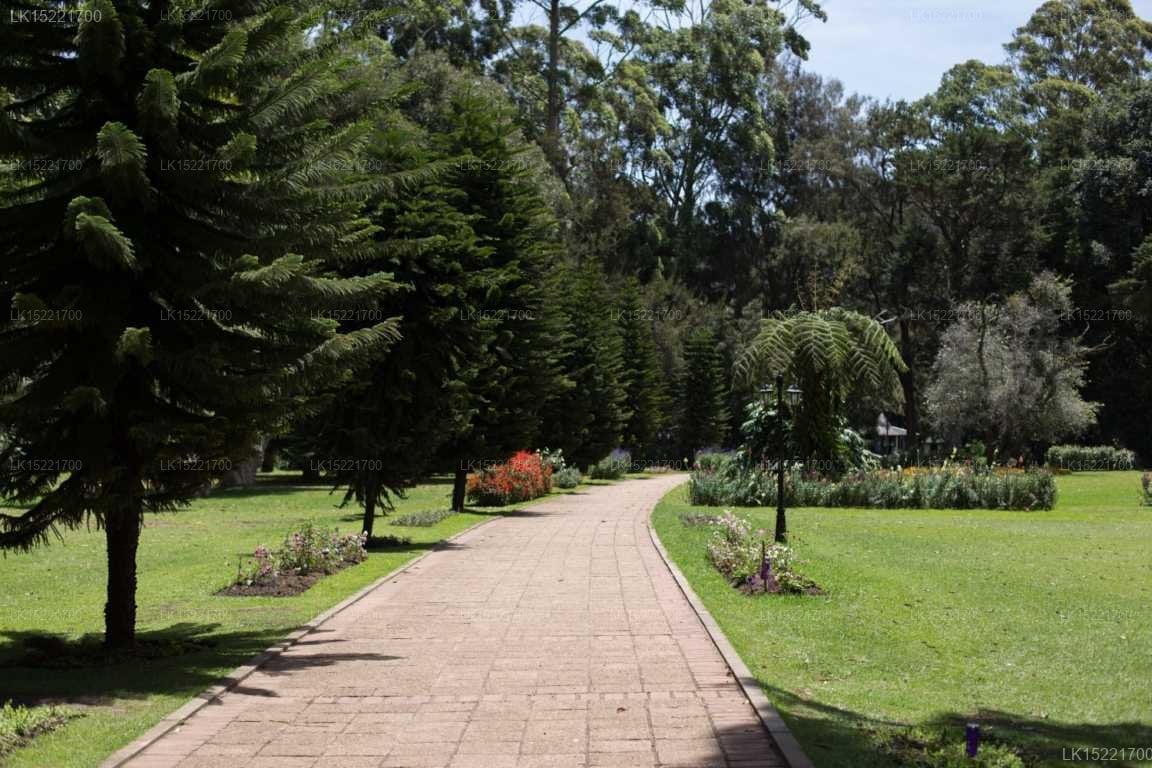 Camellia Lake Resort