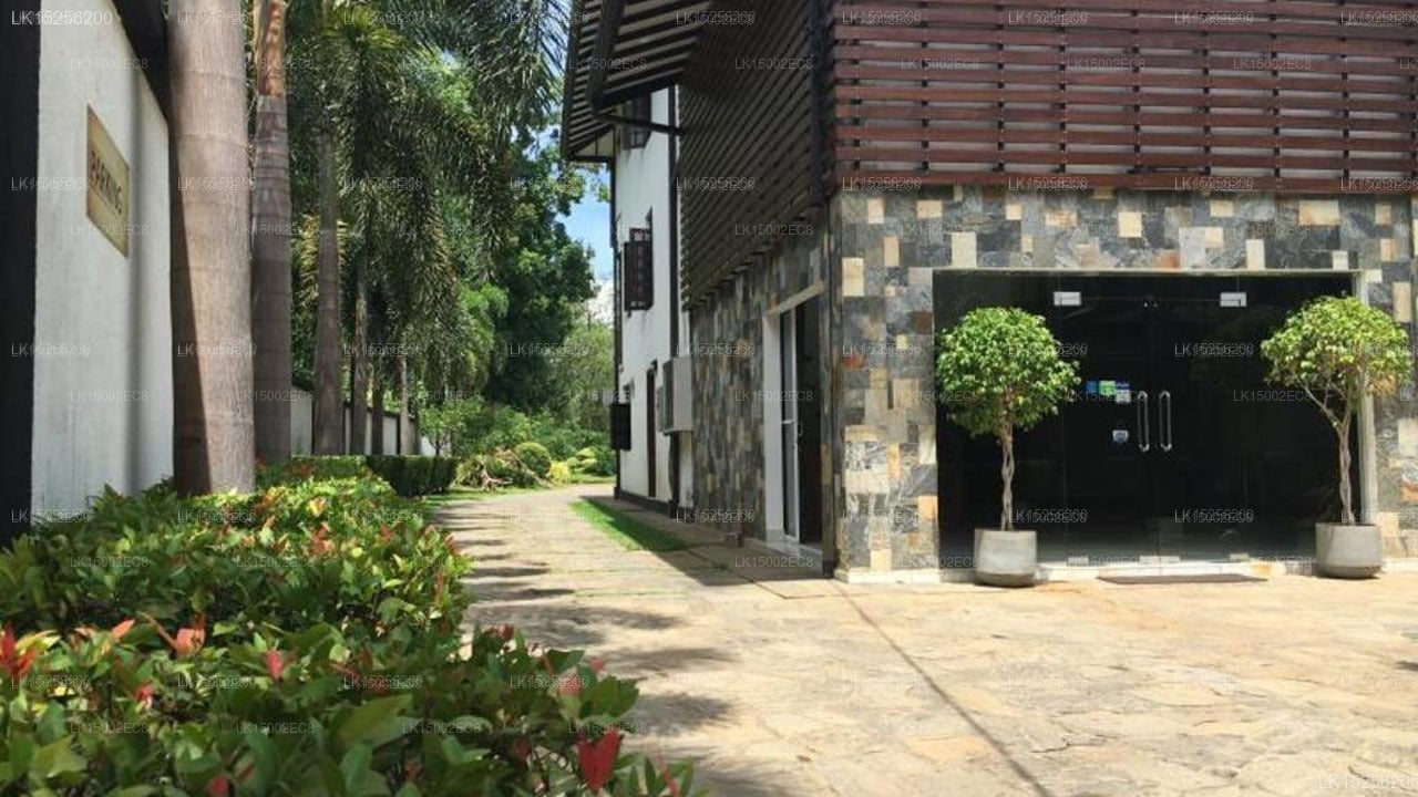 Mapakada Village, Mahiyangana