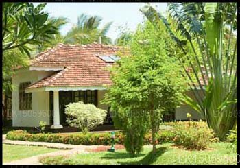 Pelwehera Village Resort, Dambulla