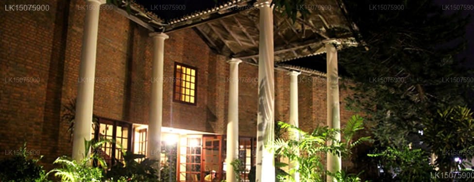 Rivi Ras Hotel