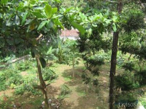 Hillway Tour Inn Guesthouse